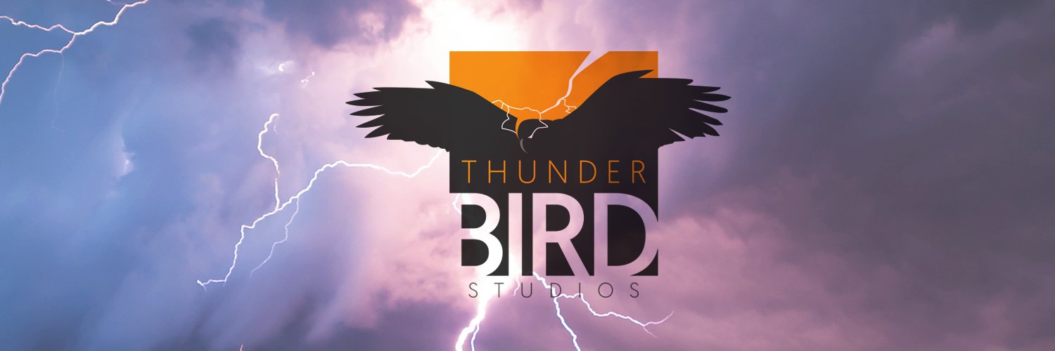 TbirdStudios's profile banner image