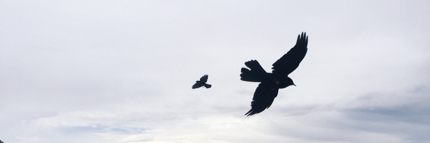 stefisuero's profile banner image
