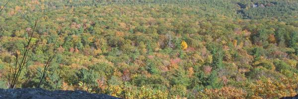 AmyBethWright Profile Banner