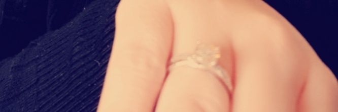 nuttynat604's profile banner image