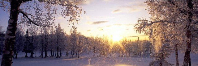 Toix_Hypes's profile banner image
