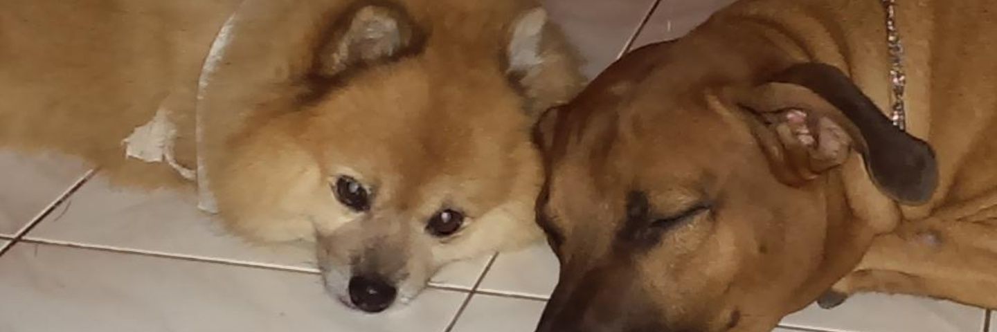 RavikeFdo's profile banner image
