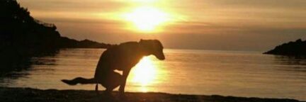 alke_pohn's profile banner image