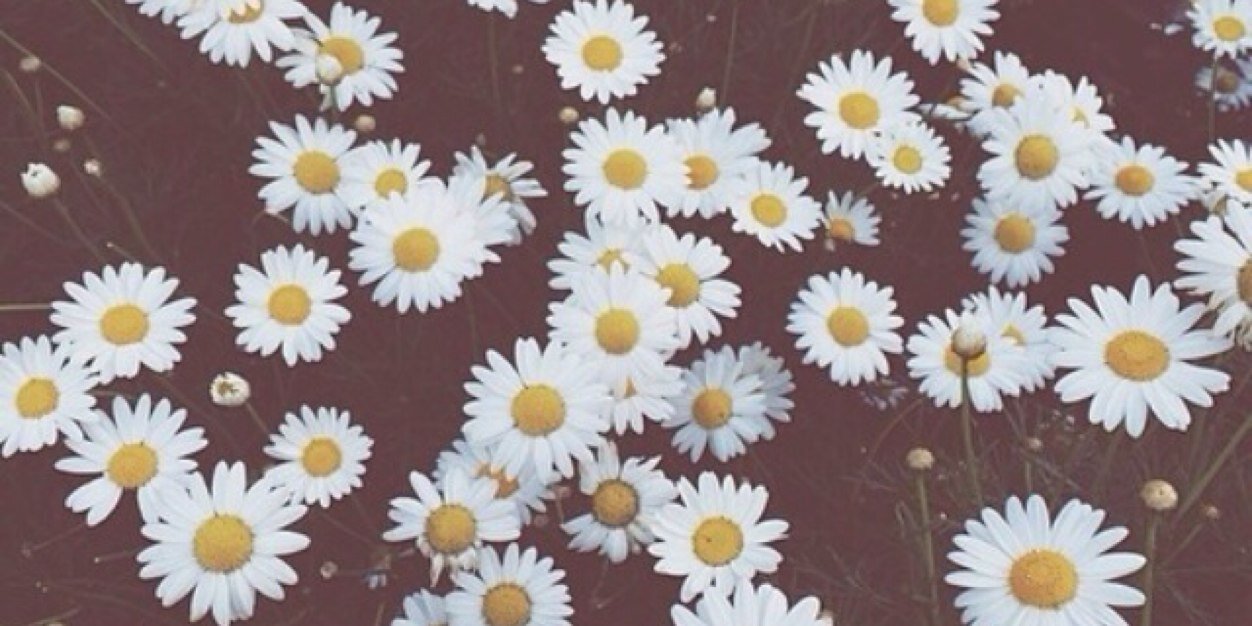 abi_higgins's profile banner image