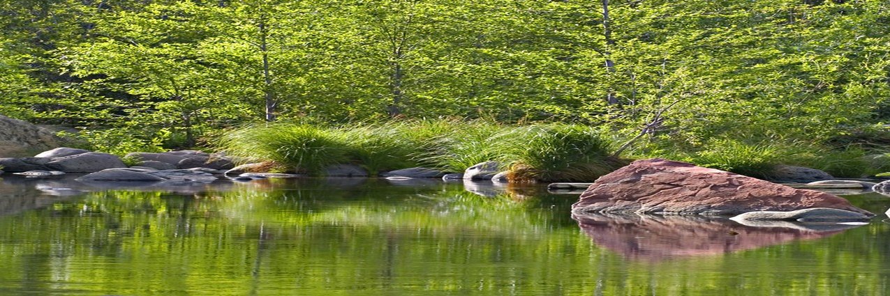 Les Hauts Ferrés ☮️🔆🤪 banner