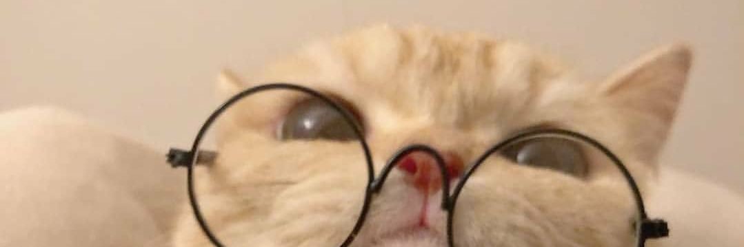 marv13z's profile banner image