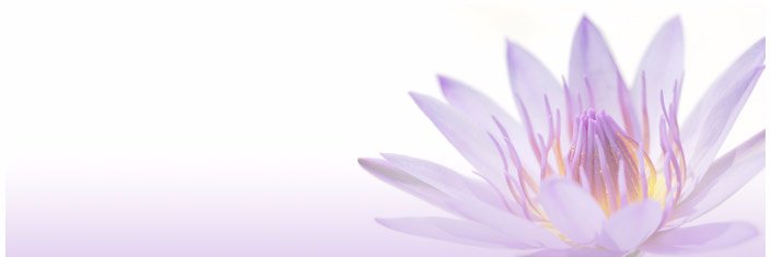 NicoleR_cheer's profile banner image
