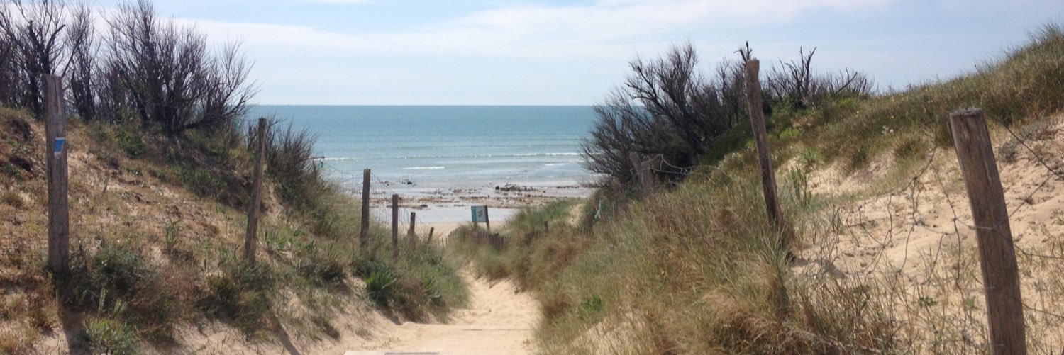 Sylwia Bujkiewicz banner