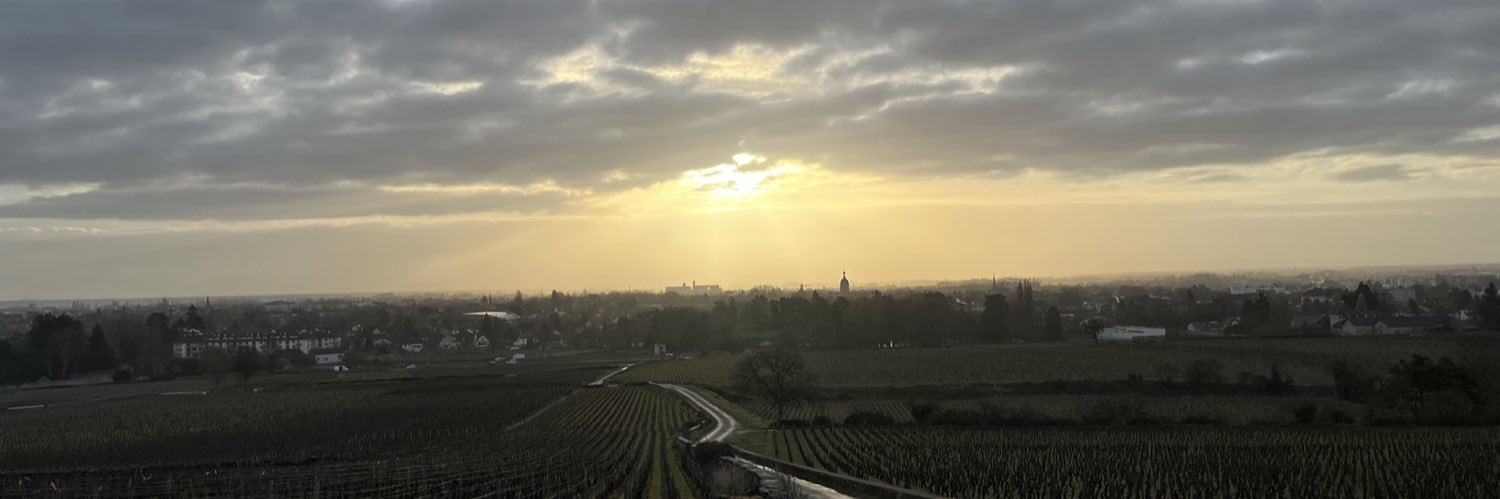 ValMag 🏆🍇🍷🇫🇷 banner