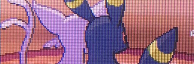 cabotwaf's profile banner image