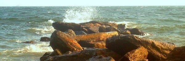 Telestratt Profile Banner