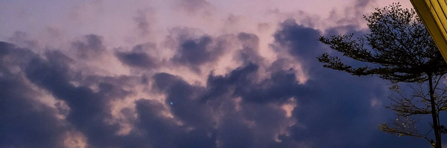 RynRiadi's profile banner image