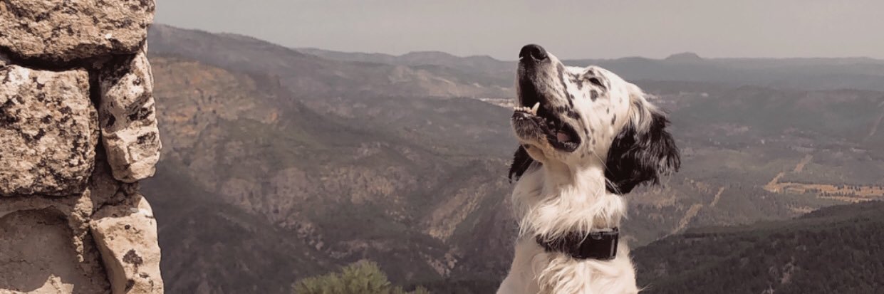 erremefe's profile banner image
