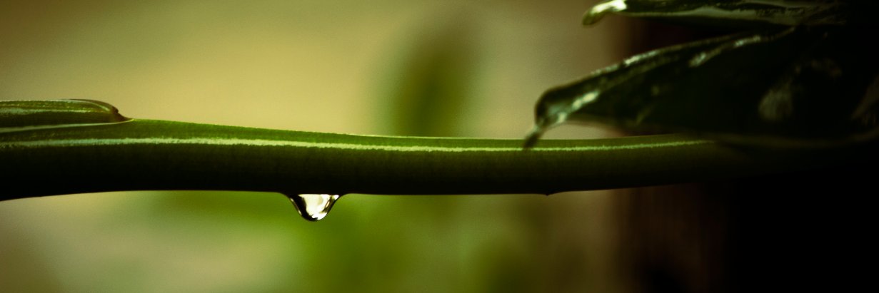 adryvaig's profile banner image