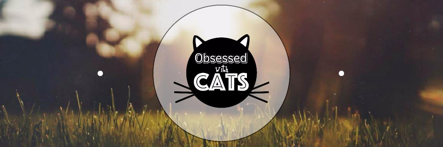 Obsessed with Cats banner