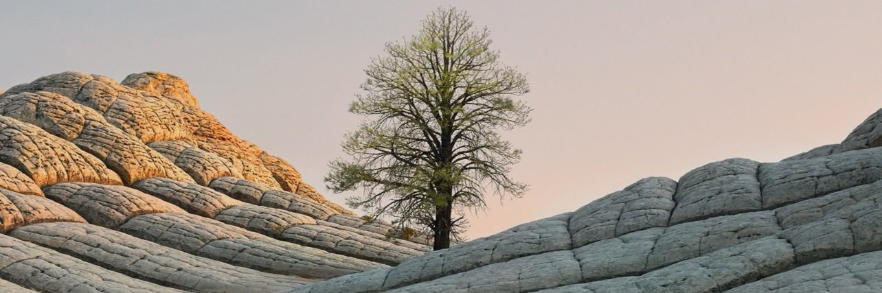 SayedHuseini's profile banner image