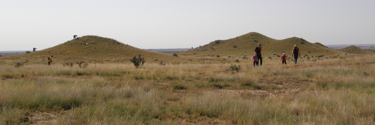 WesternPaleo's profile banner image