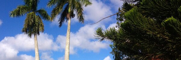 Bobbywsi Profile Banner