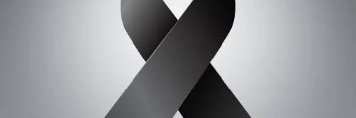 nenus09's profile banner image