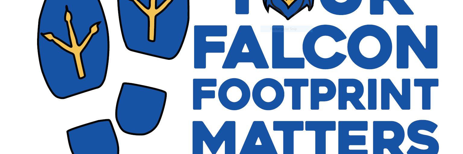 FLHSFalcons's profile banner image