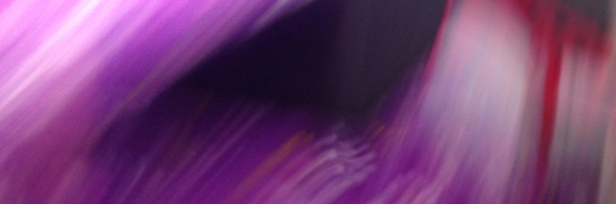 INDEED_SBO's profile banner image