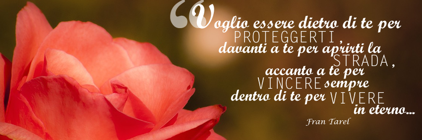 amoremio_org's profile banner image