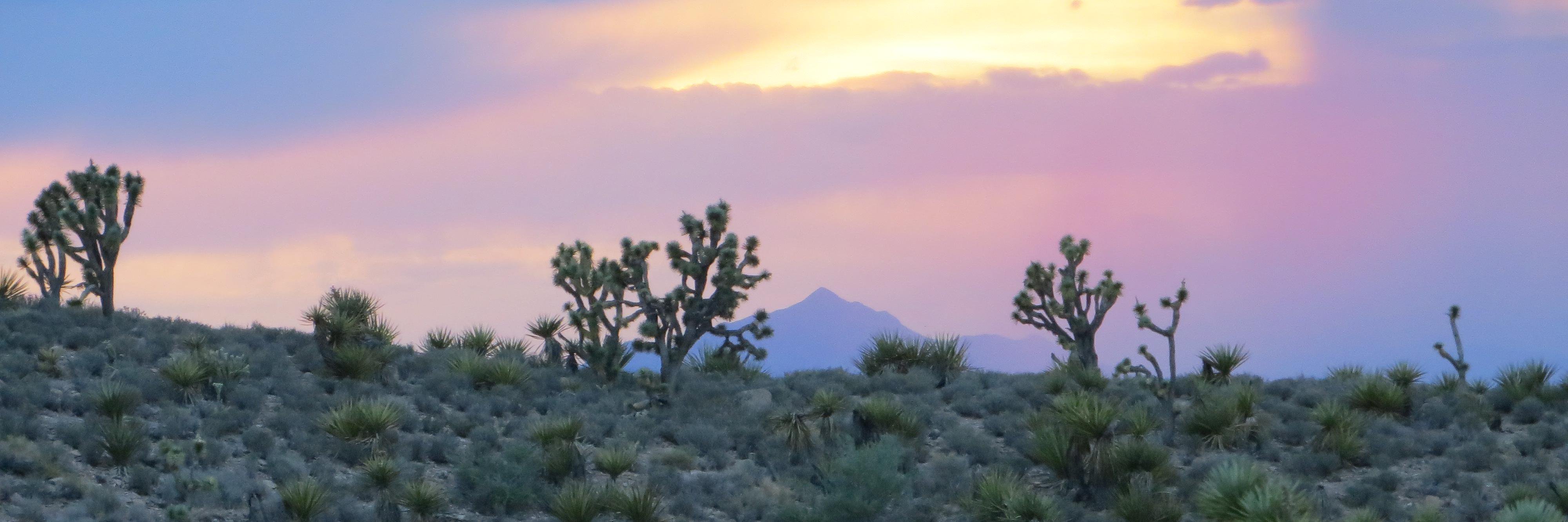 DaleLeibforth's profile banner image