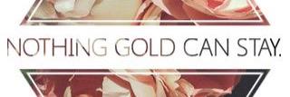 linds_macneil's profile banner image