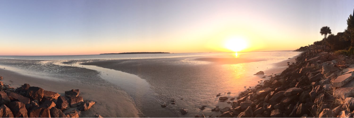 WavyNFT's profile banner image