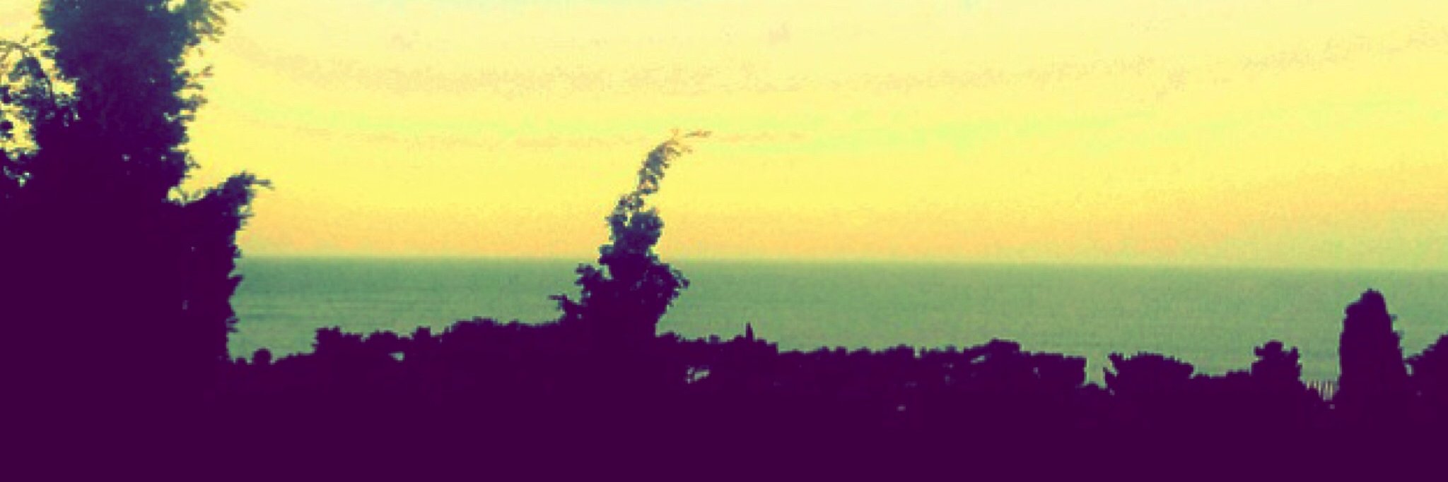 ElleGunel's profile banner image