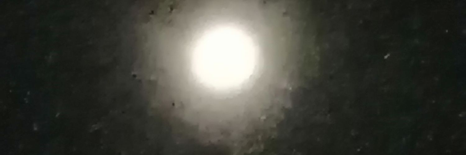Emilia Tarquinio banner