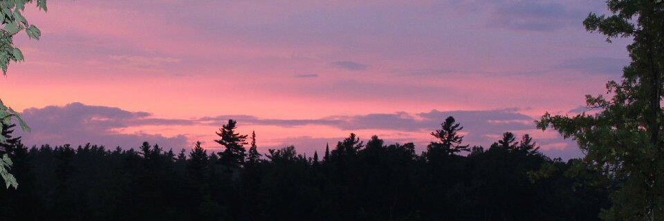 aintgotnotweets's profile banner image