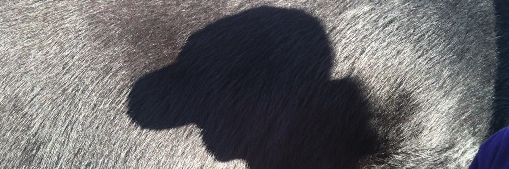 ClariceHD47's profile banner image