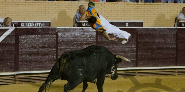 pakito murillo parra banner