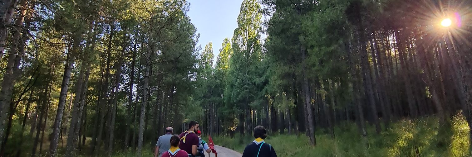 anpinvel's profile banner image