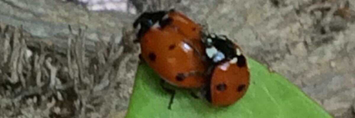 transgresor_el's profile banner image