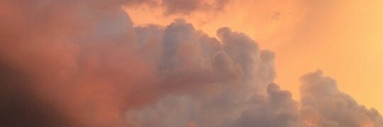 loulovesus's profile banner image