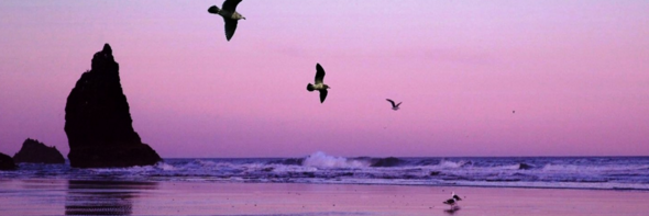 adrianaf1332's profile banner image