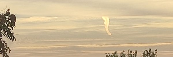 neret Profile Banner