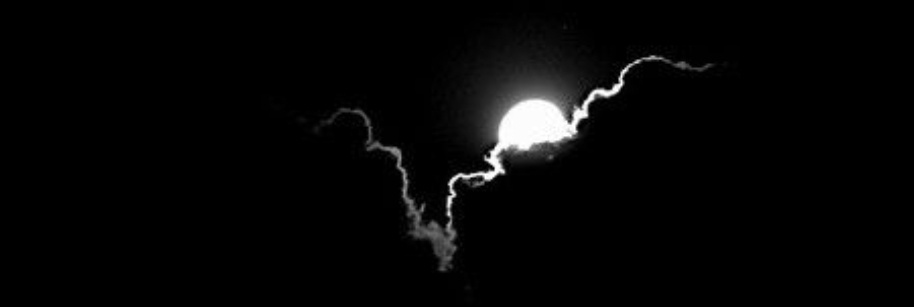 Pletans banner