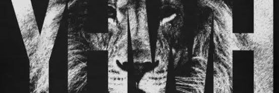 felastainlex4al's profile banner image
