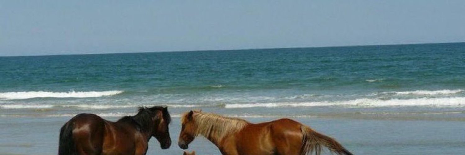 CarRodriguezz's profile banner image