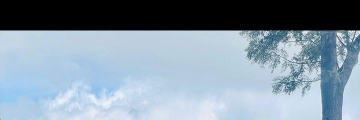 BkcpRodrigo's profile banner image
