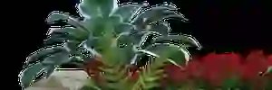 BPandowski's profile banner image