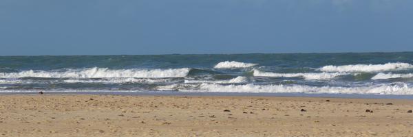 TamaraLohan Profile Banner