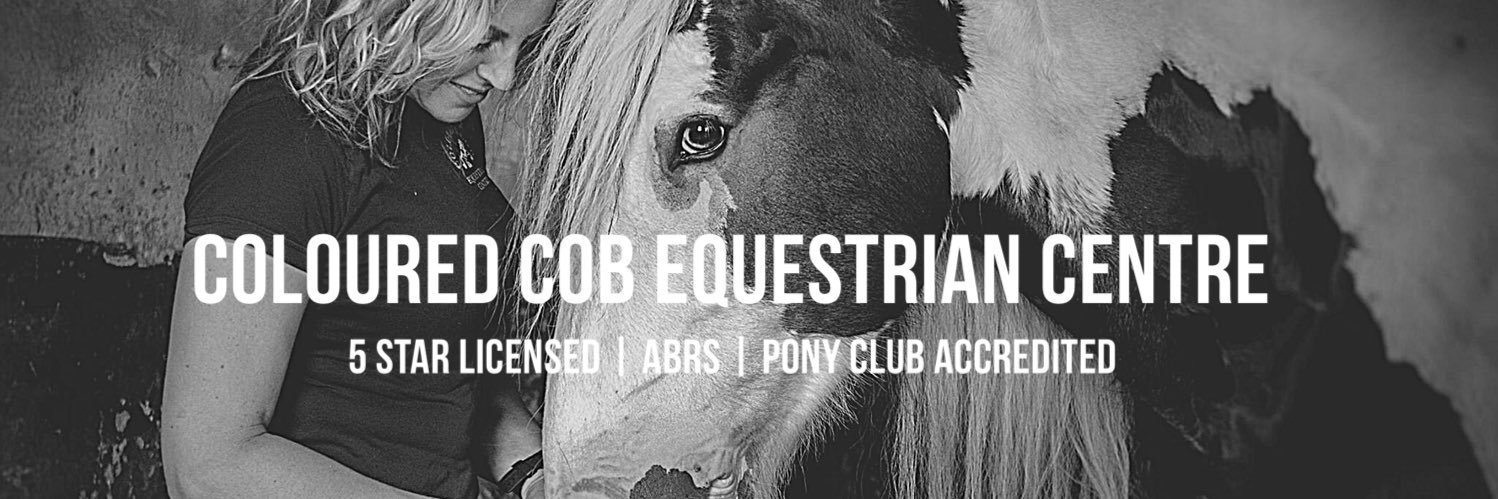 Coloured Cob Equestrian Centre banner