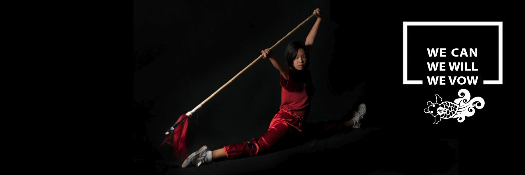 Wushu Project banner