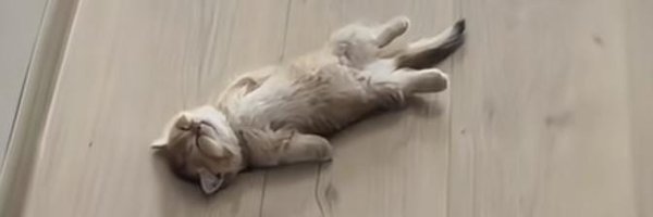 CLEPT0MANO Profile Banner