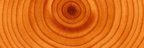 Allemaaltaal Profile Banner