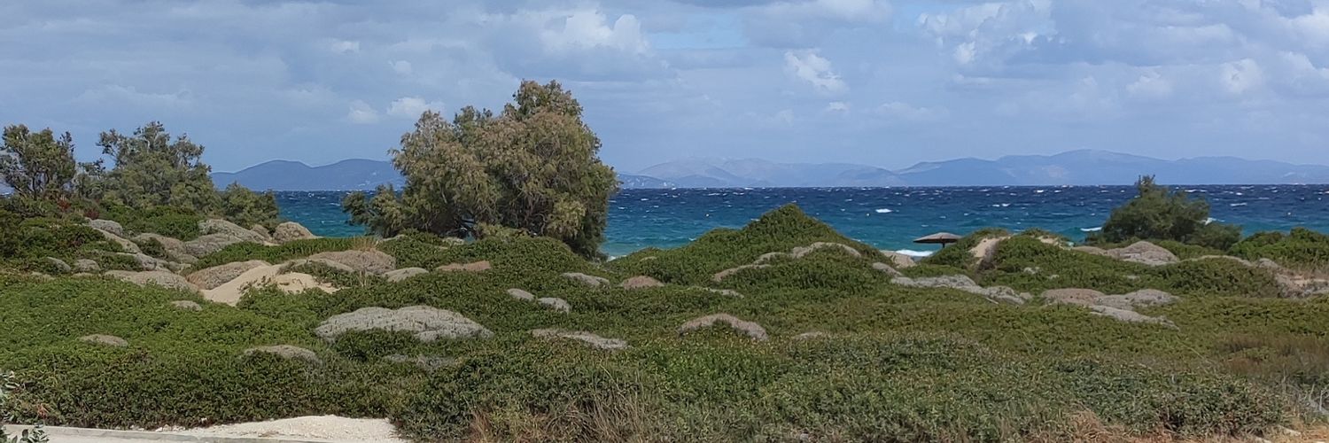 dimitris_divi's profile banner image